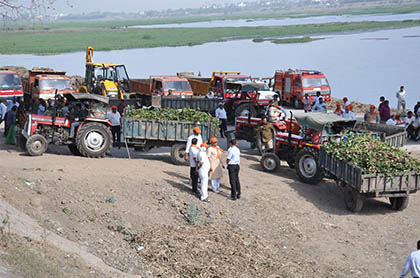 Removal of Invasive Flora & Vegetation like Water Hyacinths, Hydrila & Algae