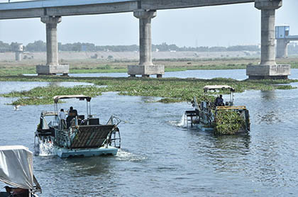 Removal of Invasive Flora & Vegetation like Water Hyacinths, Hydrila & Algae